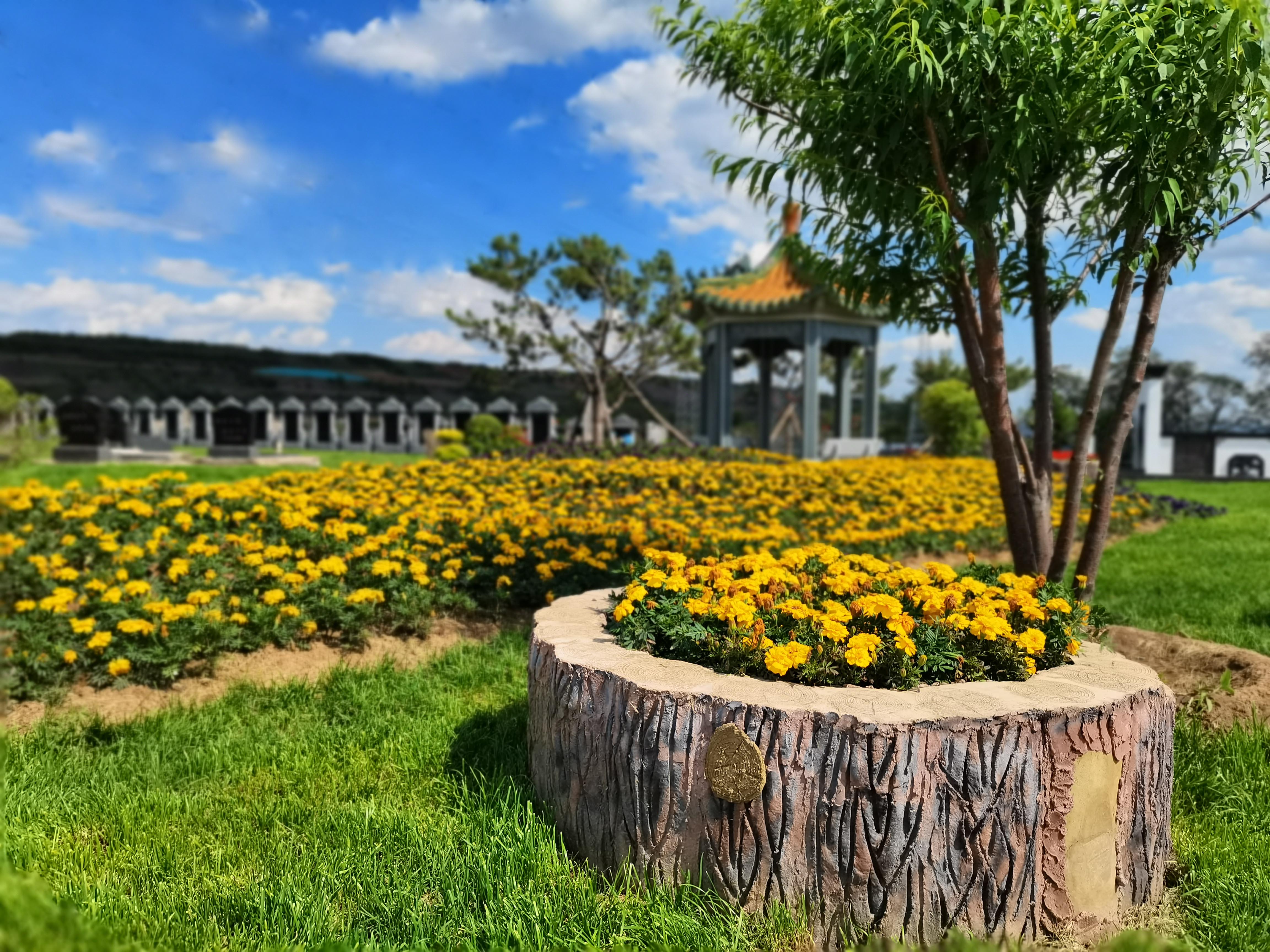 福山夏景綠植鮮花
